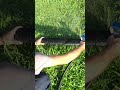 How We Clean a Mini-Split (Step-by-Step)