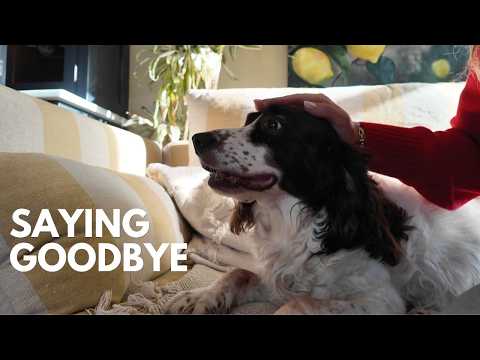 A rubbish vlog