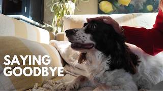 A rubbish vlog