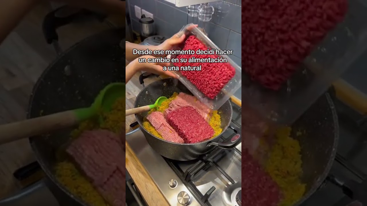 Cuida a tu mascota🥺 🤍