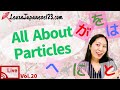 All About Particles | Weekly Japanese live lesson #20