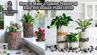 2 Types Gabion Planter Ideas That Make Your Home Look EXPENSIVE | Plant Decor Ideas//GREEN PLANTS