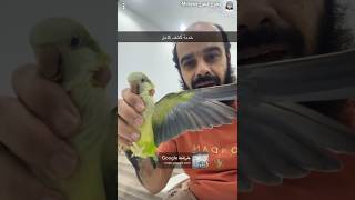 خدمة كشف الطيور كامله عيادة مطوع المطوع الرياض شارع شبه الجزيرة
