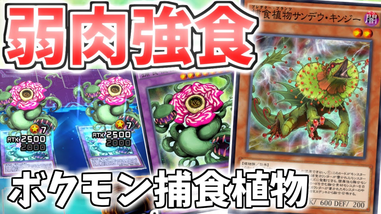 遊戯王デュエルリンクス 弱肉強食 ボクモン捕食植物 ゆっくり実況 Youtube