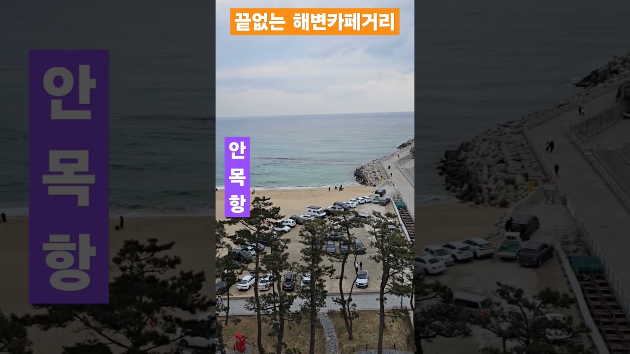 강릉 카페거리✨️💥🫰#겨울바다🏄 #안목항  #임영웅 #보랏빛엽서 #정자tv #shorts