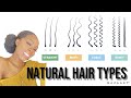 Everything You Need To Know About Natural Hair | TYPES, POROSITY, THICKNESS &amp; DENSITY