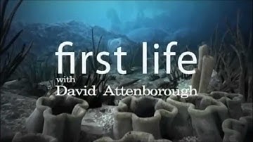 Attenborough: First Life ★ Full Length Documentary In Description
