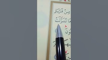 سورة الشعراء الأية 207 إلى 216 القارئ سعد الغامدي
