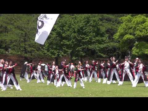So （あっぱれ富士2015）芝生流し会場