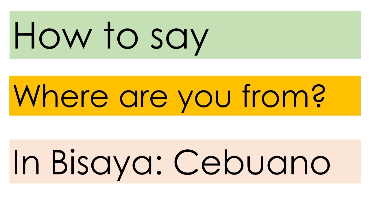 How to say Where are you from? in Bisaya [English  Basic Bisaya
