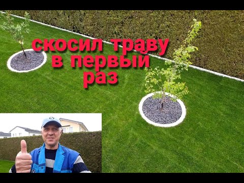 СКОСИЛ ГАЗОН ПЕРВЫЙ