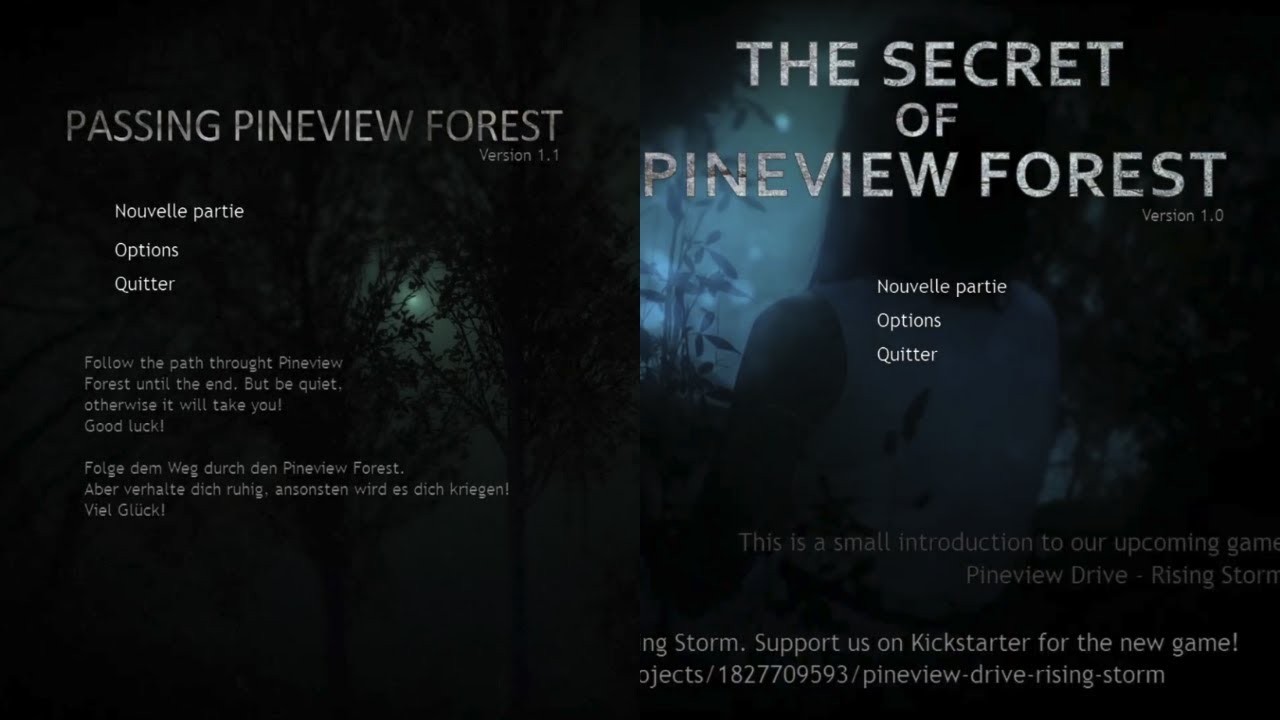 Lets Play FR - Double jeux, double fun // Passing et The Secret of Pineview Forest [1/1]