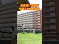 全身をフニャフニャにして体幹も強くなる 筋膜トレーニング#ゴルフ #50代トレーニング #脱力スイング #肩の力み
