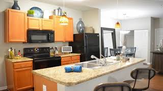 1 Bedroom Apartment for Rent in Belleville, IL