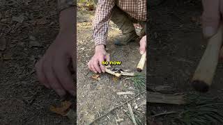 Learning How To Make Fire