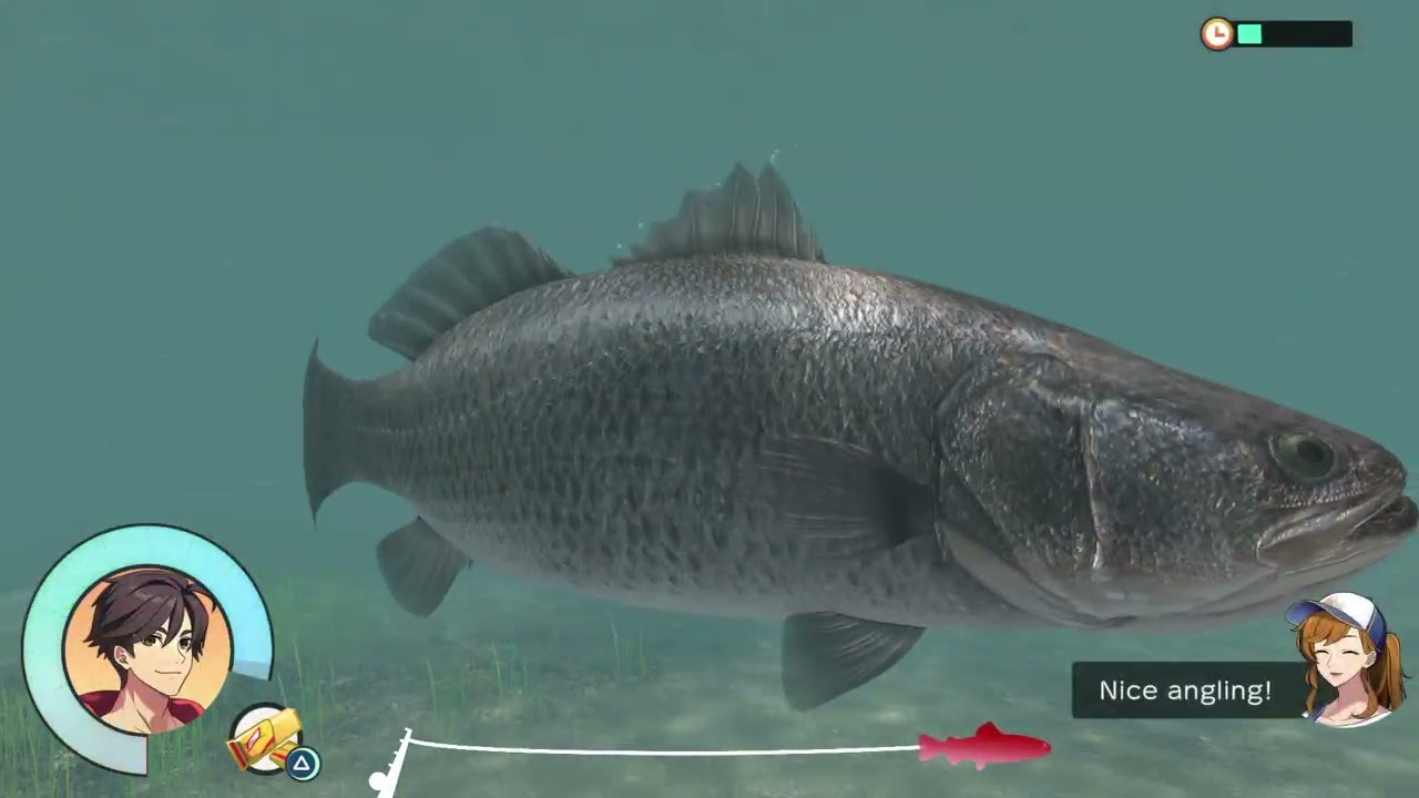 Reel Fishing: Days of Summer_20260114..Good fishing on this rainy Wednesday :-)