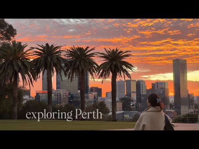 Travel vlog - Exploring Perth, Australia 🇦🇺 | CBD, King's Park, Fremantle & Rottnest Island