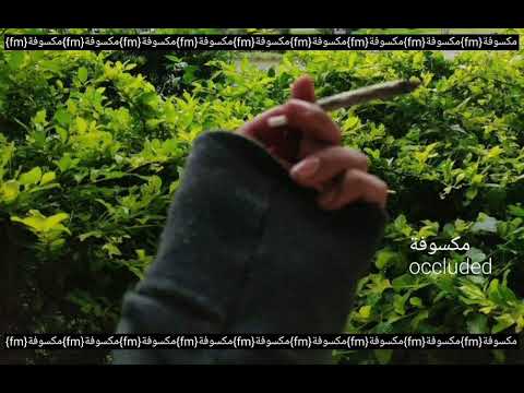 اغاني صمخه انا قلبي مش ناقص فيه اللي مكفيه بطيئة