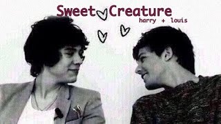 Louis + Harry | Sweet Creature (Larry Stylinson)