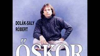 Video thumbnail of "Dolák-Saly Róbert Altató.wmv"
