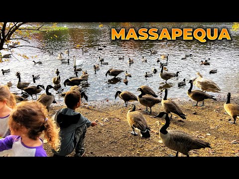 Walking Massapequa & Massapequa Park, Long Island, NY in October 2022