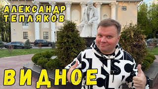 видео: 🇷🇺 За МКАД! Видное - очаровательный подмосковный городок. Экскурсия от Александра Теплякова. #видное картинка: 🇷🇺 За МКАД! Видное - очаровательный подмосковный городок. Экскурсия от Александра Теплякова. #видное