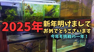 新年明けましておめでとうございます！今年もハッピーアクアリウム