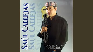 Video thumbnail of "Saul Callejas Oropeza - Donde Andaras"