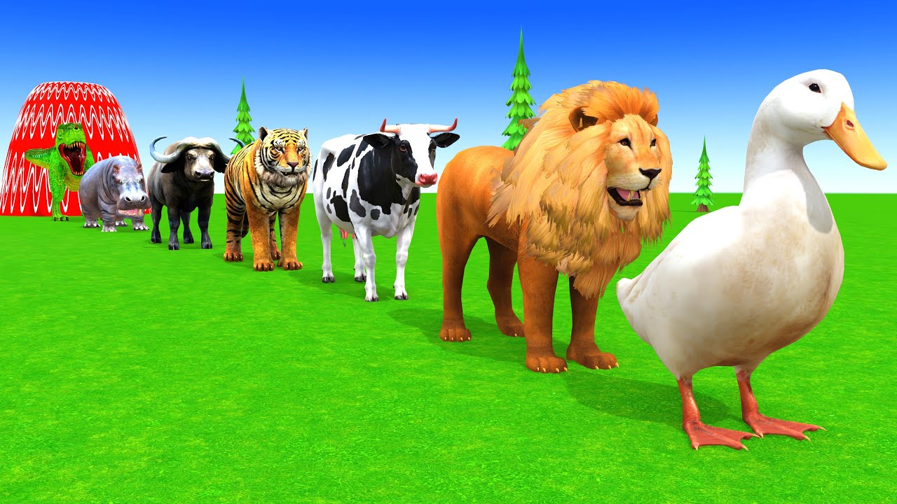 Long Slide Game with Cow Elephant Gorilla Hippopotamus Tiger 3d Animal Game Funny 3d Animals