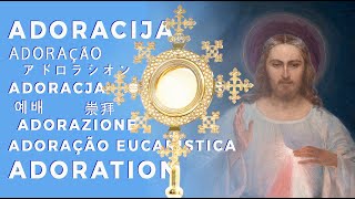 Preview of stream Dievo Gailestingumo Šventovė / the Shrine of Divine Mercy / adoracija / adoration / adoracion