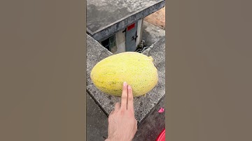 Experiment: Will watermelons and cantaloupes explode when they roll down a tall building? 🍈#shorts