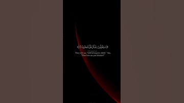القرآن الكريم رحه النفس 🤍#ياسر_الدوسري #تلاوة_خاشعة #رح_سمعك #اكسبلور #islam #viral#300k#fyp#foryou