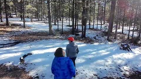 Trying my @DJI neo winter and snow