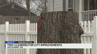 Tree clearing in Lee s Summit neighborhood sparks controversy for city improvement project