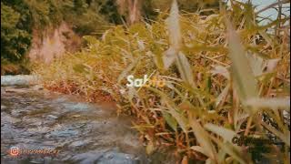 Cinematik Buat hari Sabtu