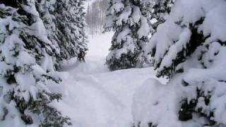 Jackson Hole 2008