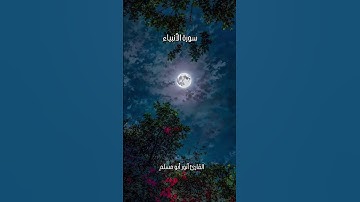 #القارئ_أنور_أبو_مسلم #القرآن_الكريم