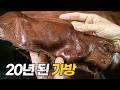 역대급 가방이 나타났습니다.. | 하안 부탁해 EP.2