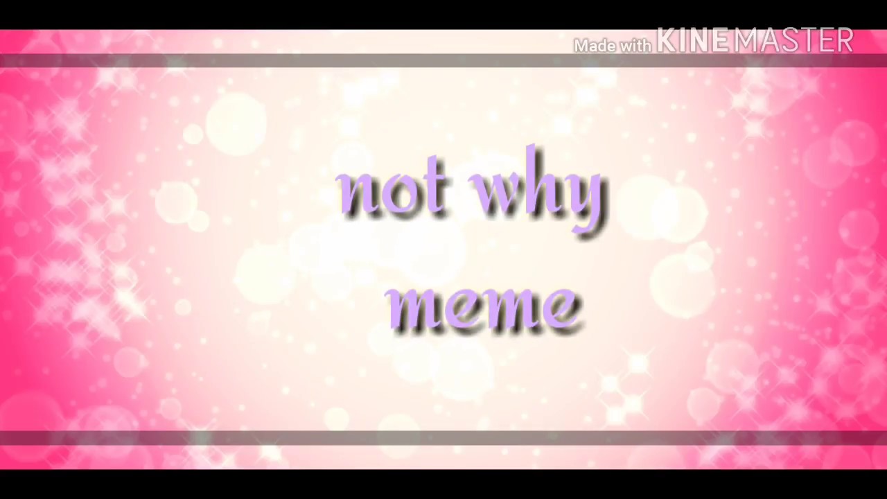 Why I Love You | MEME | original (?) - YouTube Music