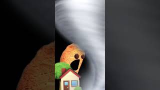 Mog a tornado