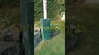 Pin on your ideas#shortvedio #satisfying #trending #viral #viralshort #gardendesign #gardening