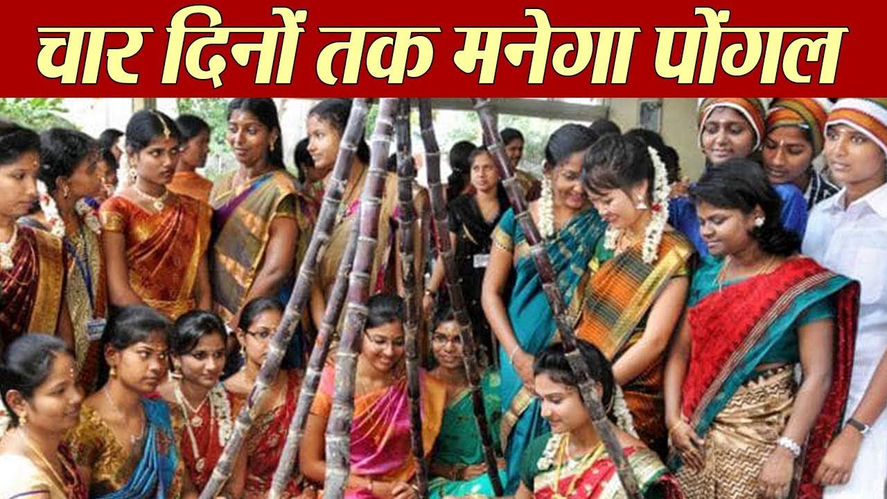Pongal: About 4-Days Festival | चार दिनों तक मनाया जाता है, चार तरह का पोंगल त्यौहार | Boldsky