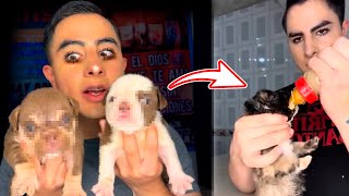 Yael, el youtuber RELIGIOSO que GRABA a sus perros SIN VIDA para enseñarnos ESTO!