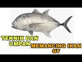 PANDUAN/TIPS DAN UMPAN MEMANCING IKAN GT (GIANT TREVALLY)