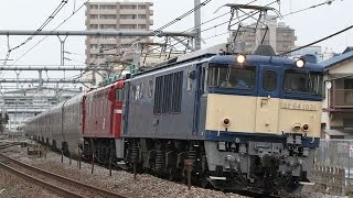 【EF64+EF81重連】 EF64-1031+EF81-98+E26系 カシオペアクルーズ 宮原~大宮通過