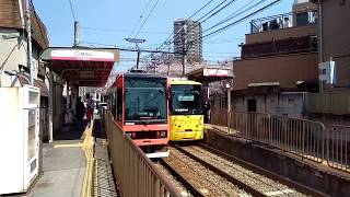 [レア！] 東京さくらトラム(都電荒川線)8800形イエロー発車& 8900形オレンジ発車