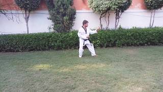 Jeevan Singh Taekwondo Poomsea 4.