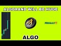 Algo coin pump potential in 2024 algorand crypto finally start to profit algo crypto will be huge