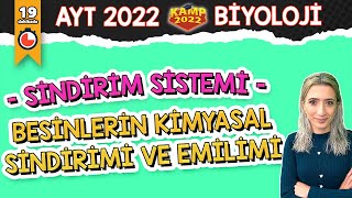 Besinlerin Kimyasal Sindirimi ve Emilimi  | AYT Biyoloji #Kamp2022