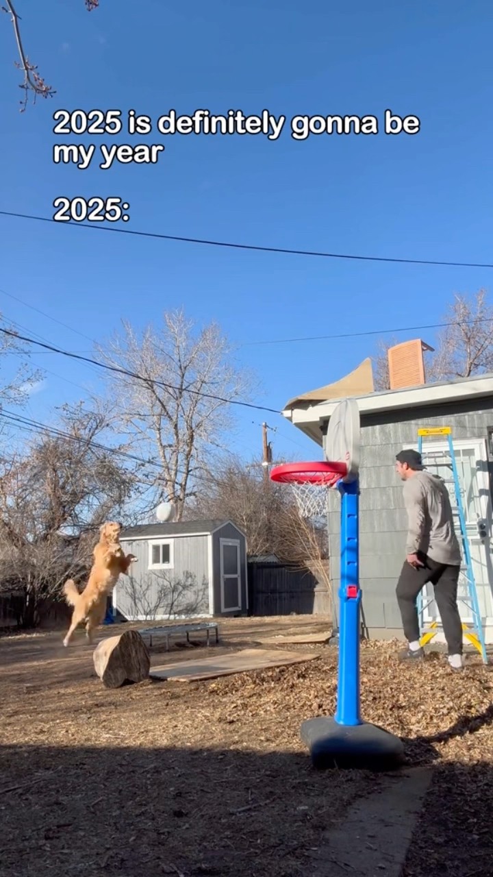 Dog coming in hot ?